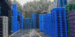 雪花与塑料托盘的相遇，是冬日里的一场美丽的邂逅