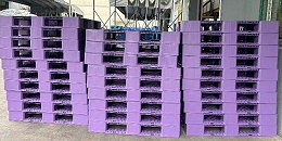 注塑厂家生产的这种紫色周转箱和托盘也太高级了吧！