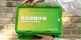 端午送礼躺赢指南，我宣布这才是打工人想要的礼物！