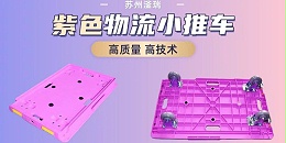 苏州滏瑞带您了解一下大批量的乌龟车是如何发货的？